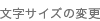 文字のサイズ