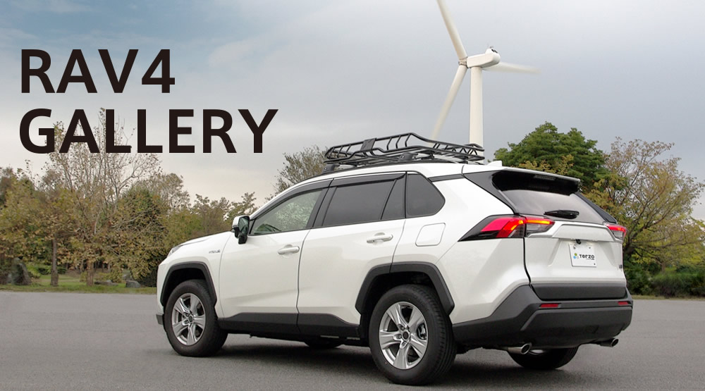 RAV4 GALLERY