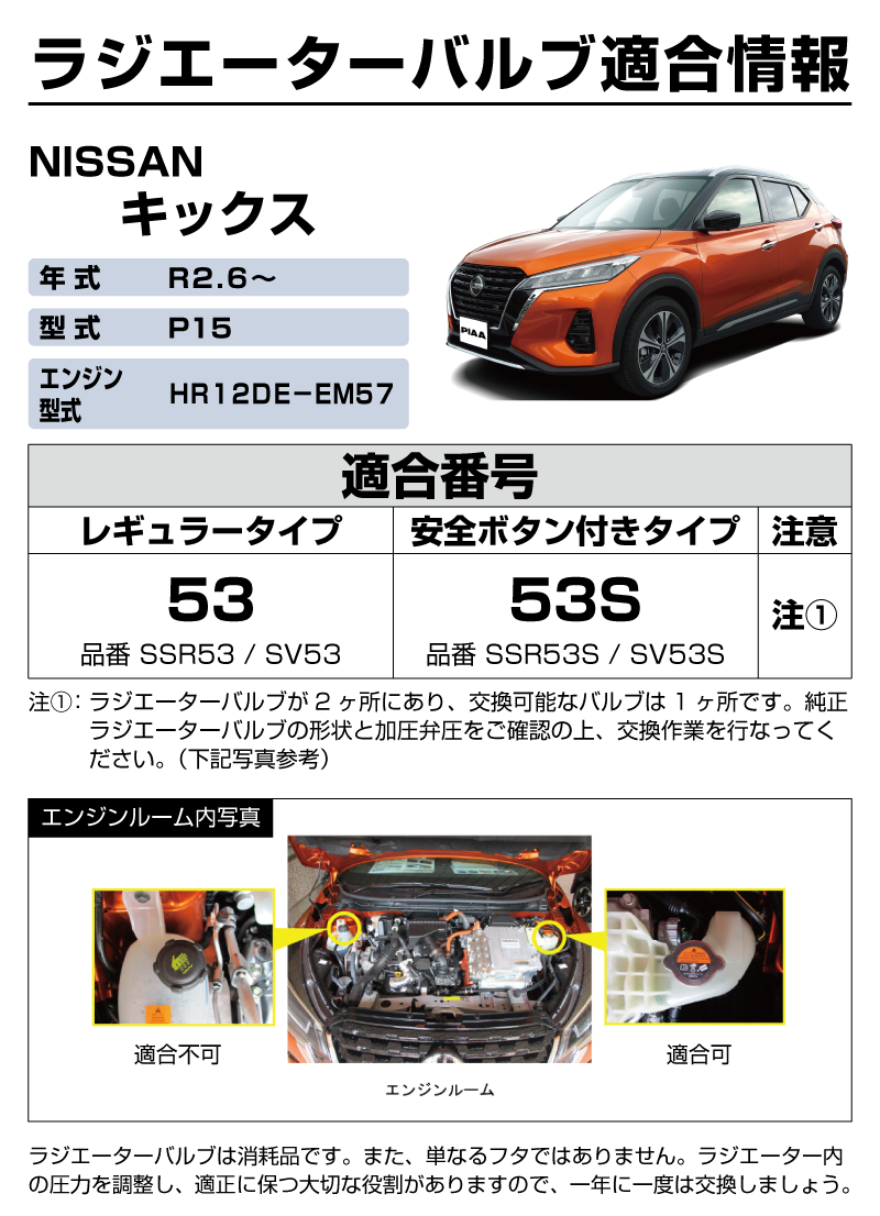 TEKIYOURV_NISSAN_KICKS_R2.6