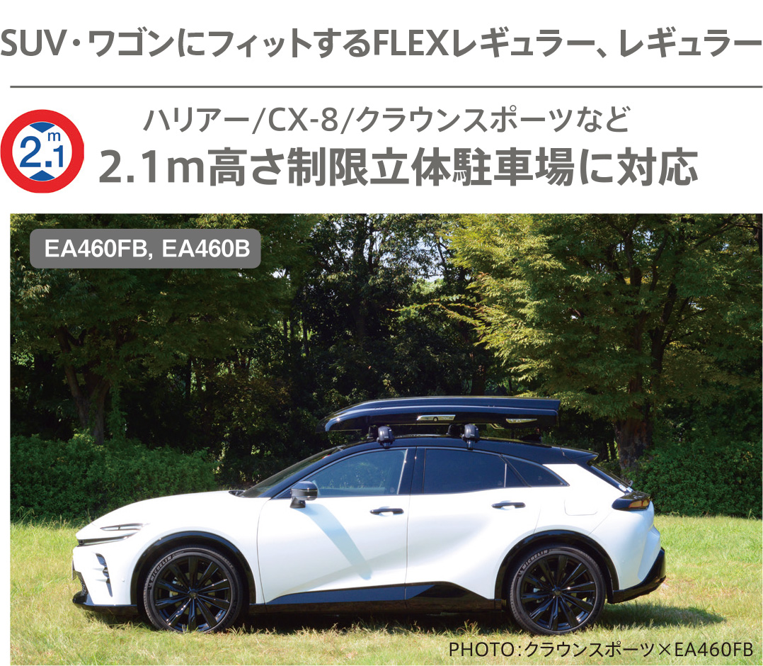Terzoルーフボックスグランフォーマレギュラー