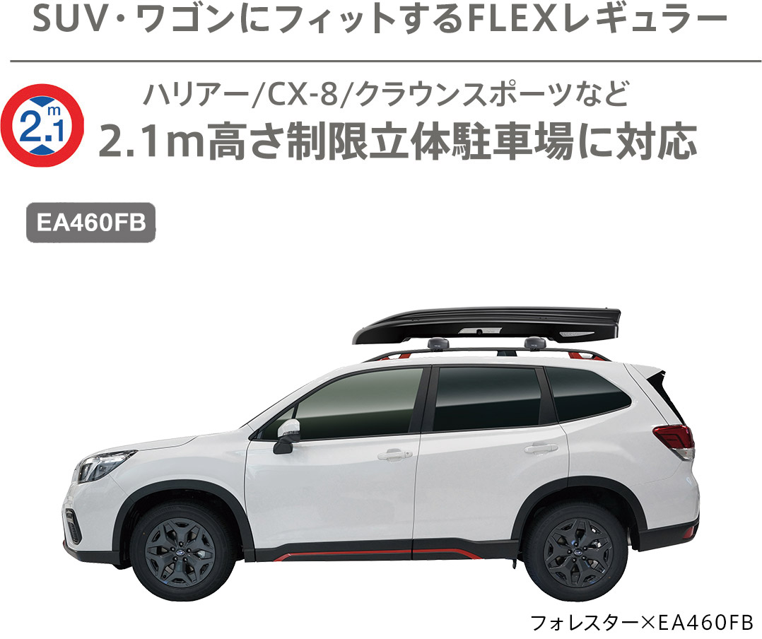 Terzoルーフボックスグランフォーマフレックス