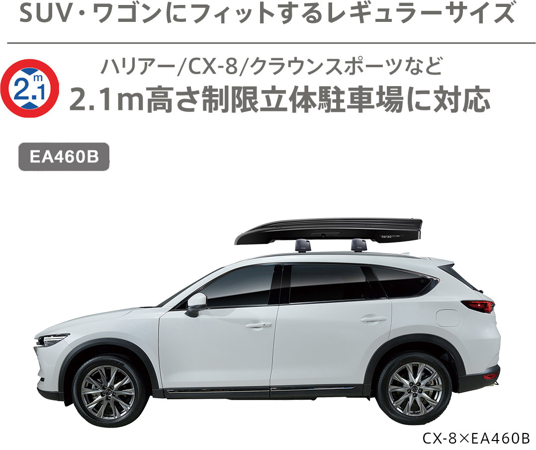 Terzoルーフボックスグランフォーマレギュラー